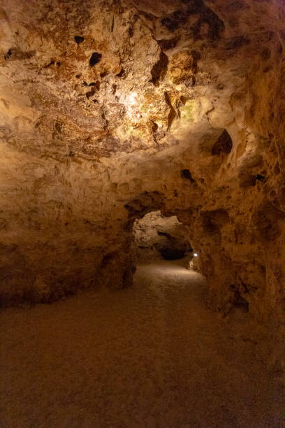 istock Lake Cave of Tapolca 1202782994
