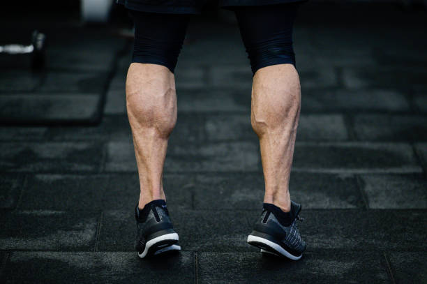 trained legs with muscular calves in sneakers in training gym during hard fitness and gym workout trained legs with muscular calves in sneakers in training gym calf stock pictures, royalty-free photos & images