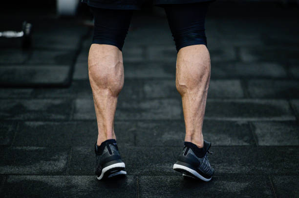 trained legs with muscular calves in sneakers in training gym during hard fitness and gym workout trained legs with muscular calves in sneakers in training gym Calf stock pictures, royalty-free photos & images