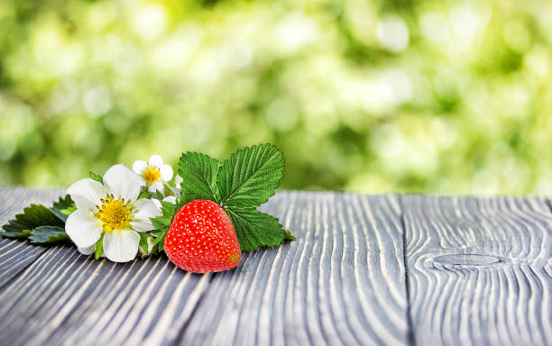 istock strawberries on a wooden table outdoors 1202786923