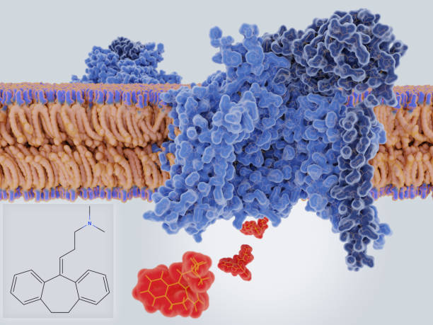 istock The antidepressive drug amitriptyline blocking a neuronal sodium channel 1202790408