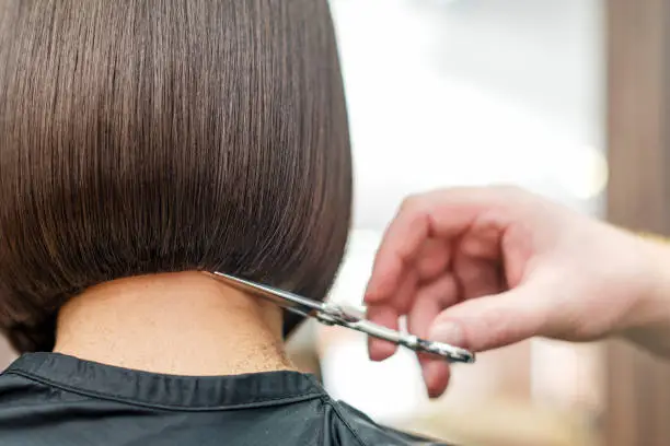 Hands of professional hairdresser cuting hair tips of woman, back side.