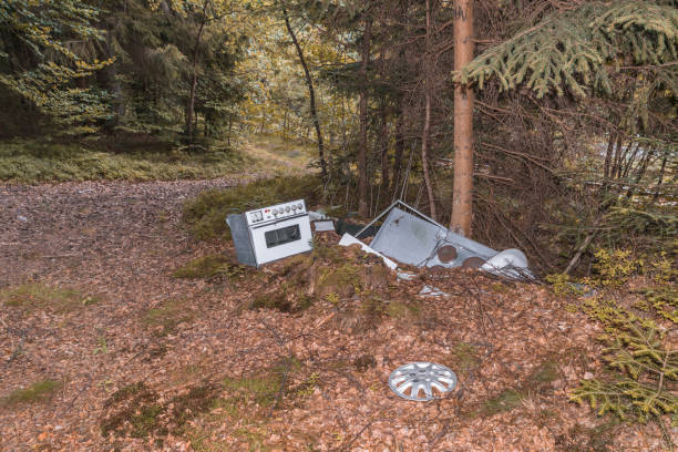 istock Pollution in a forest by old discarded household appliances, Germany 1202791075