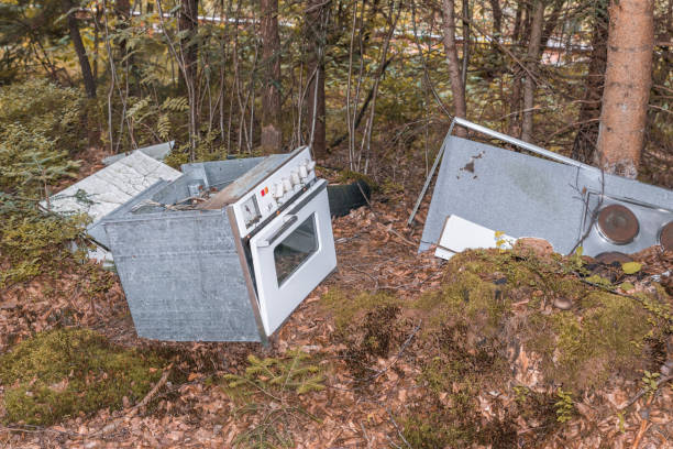 Pollution in a forest by old discarded household appliances, Germany