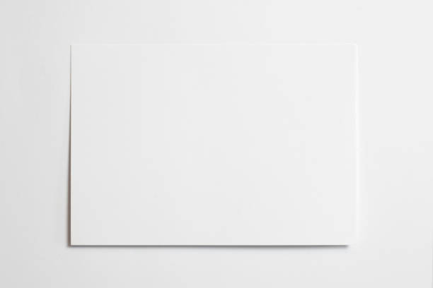 istock Blank horizontal photo frame 10 x 15 size with soft shadows tape isolated on white paper background as template for graphic designers presentations, portfolios etc. 1202792189