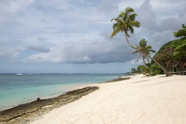 Leaning palm trees at white sand tropical beach with some limerock in Samoa, Atua, Lalomanu