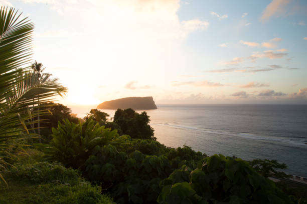istock High angle panoramic view of the ocean and trees during sunrise, Samoa 1202792306