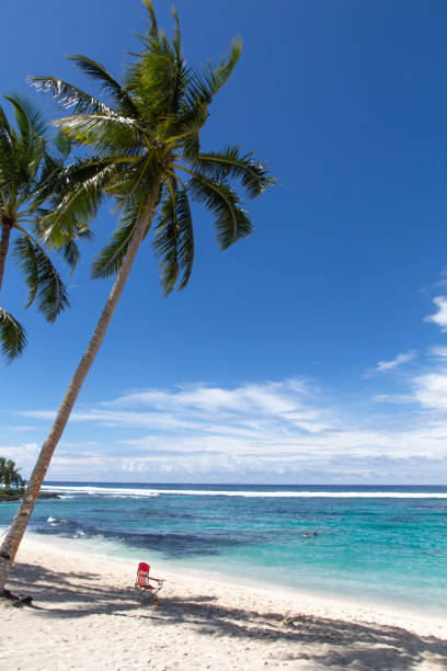 istock Red beach chair, under coconut palm tree at white sandy beach, Samoa 1202792358