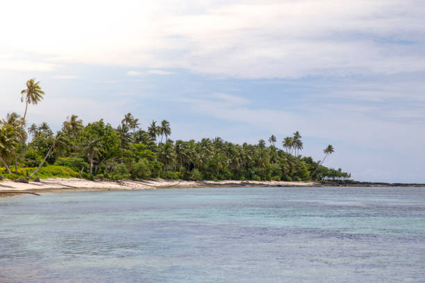 istock Exotic sandy beach, with blue waters and leaning palm trees, Samoa 1202792362