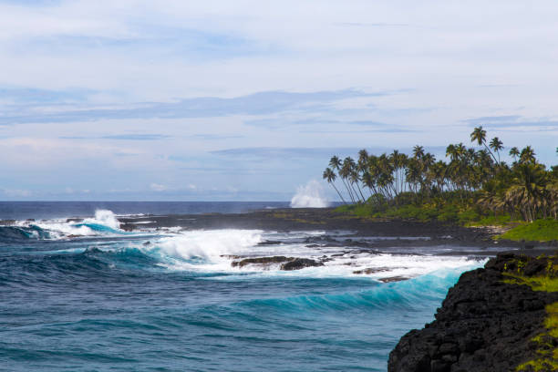 istock Volcanic coastal cliffs with blue waves breaking and palm trees 1202792368