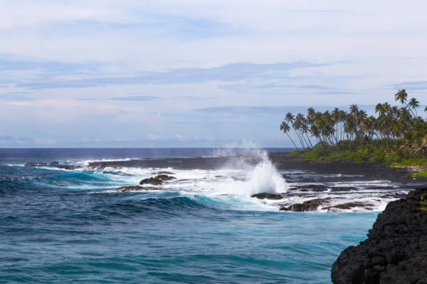 istock Volcanic coastal cliffs with blue waves breaking and palm trees 1202792388