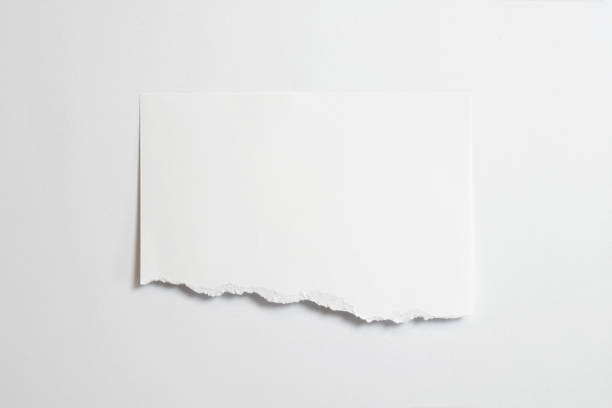 istock Blank torn photo frame with soft shadows isolated on white paper background as template for graphic designers presentations, portfolios etc. 1202792482