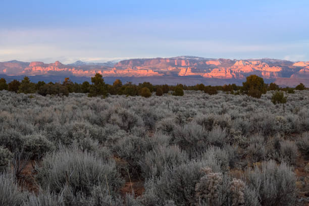 istock Dirt Road On Gooseberry Mesa 1202795334