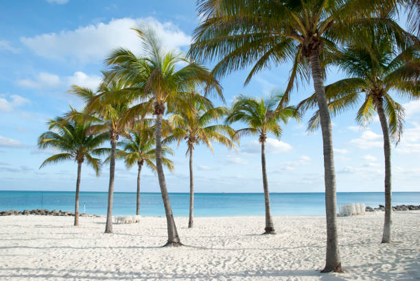 istock Grand Bahama Island Lucaya Beach 1202795391