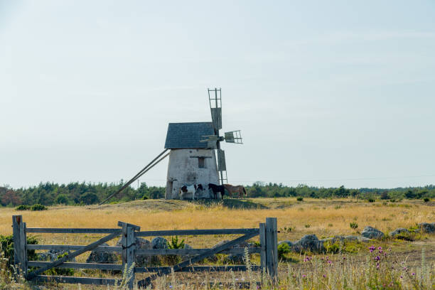 istock Windmill in Field with Horses 1202795409