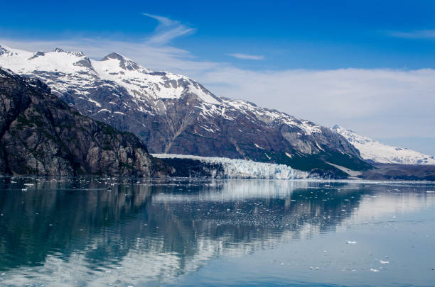 istock Glacier Bay national park in Alaska 1202795472
