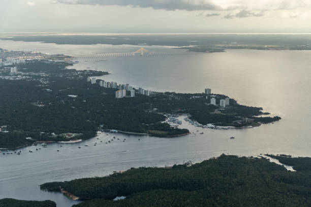 istock Beautiful aerial view to flooded Amazon rainforest and river 1202795947