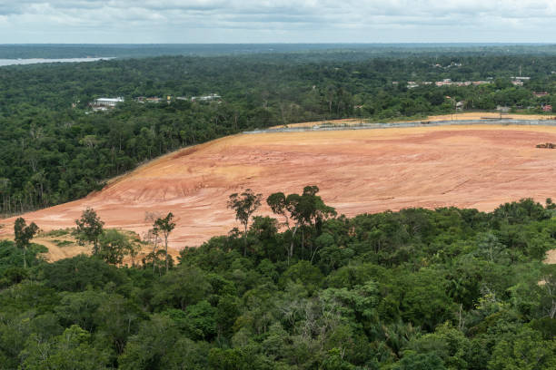 vue à la zone déboisée sur la forêt amazonienne verte près de manaus - deforestation photos et images de collection