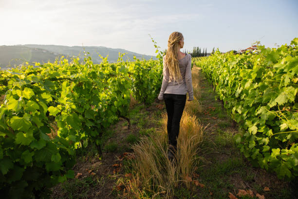 istock A young woman walks through green vineyard at valley. 1202796962