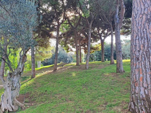 istock Uphill stairs in green garden 1202798534