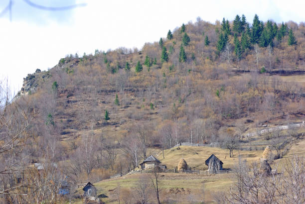 Beautful nature landscape view at Badara Plateau and Highland Houses, in Senyuva, Çamlıhemşin, Rize in Black sea region of Turkey on sunny summer morning.