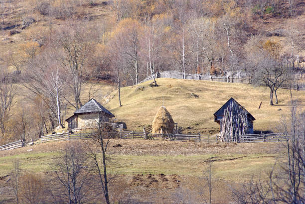 istock Mountain cottage on the hill 1202799279