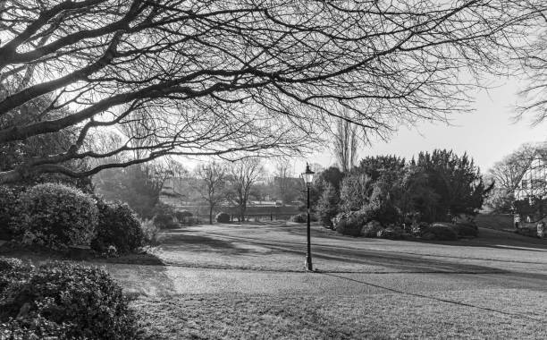 istock Park in winter sunshine. 1202800890