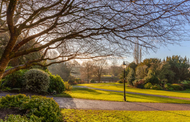 istock Park in winter sunshine. 1202800893