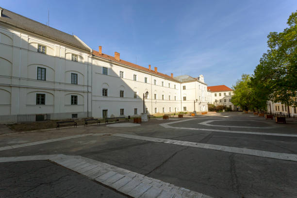 College of Sarospatak