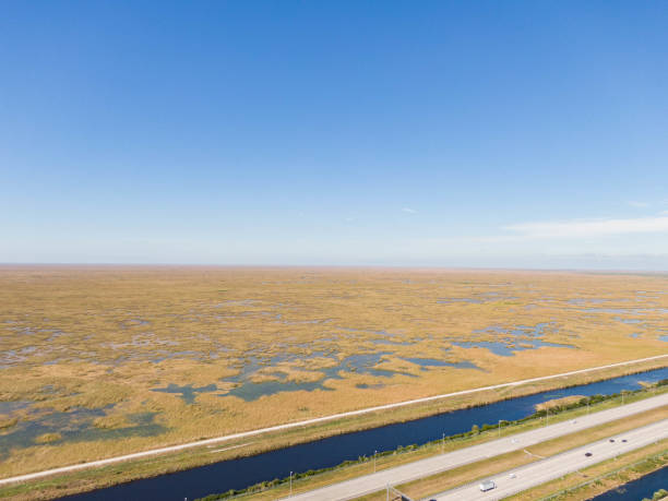 istock Drone Aerial Photography Broward Florida 1202805941