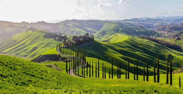 green fields in Tuscany rolling hills in Crete Senesi in Tuscany crete senesi photos stock pictures, royalty-free photos & images