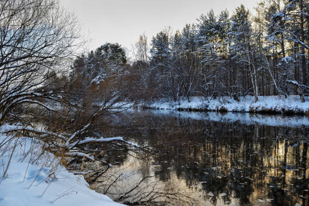 istock Winter landscape at sunset by a snowy forest lake. Winter forest. 1202806059