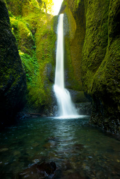 Oneonta Falls Columbia River Gorge stock photo