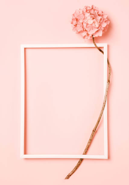 istock Pink, coral flower on. Place for inscription in frame. 1202810457