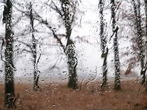View through the wet window on the trees in autumn rainy weather. Climate. Background image. Raindrops.