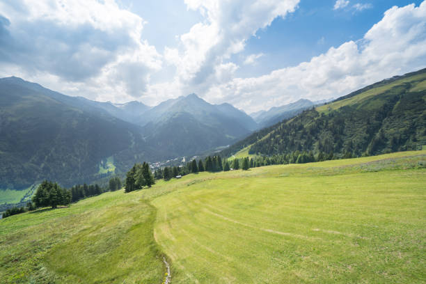 istock Idyllic summer landscape in the Alps 1202813252