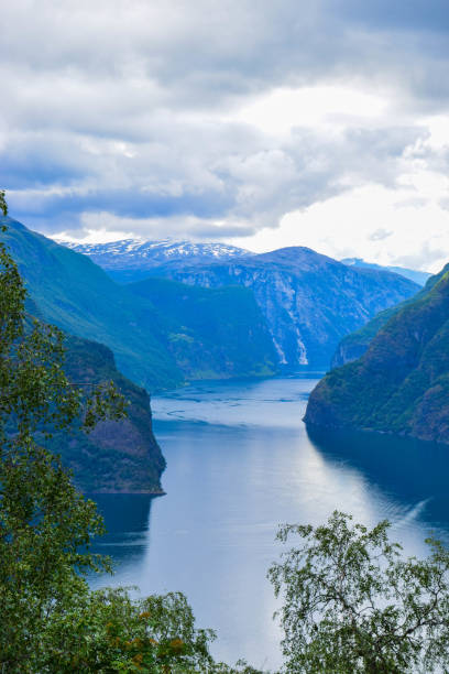 le paysage d'aurlandsfjord en norvège. - aurlandfjord photos et images de collection