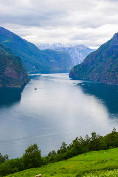 the landscape of aurlandsfjord in norway. - aurlandfjord imagens e fotografias de stock