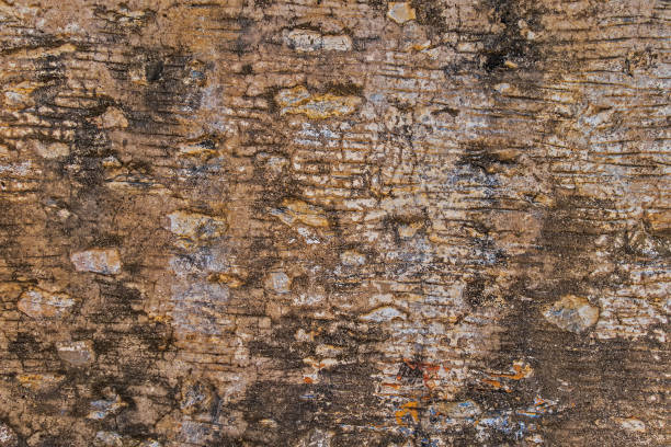 istock Facade walls concrete empty grunge background 1202817194