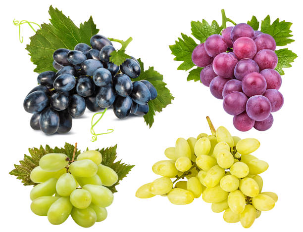 istock Grapes with leaves isolated on white background with clipping pass 1202817406