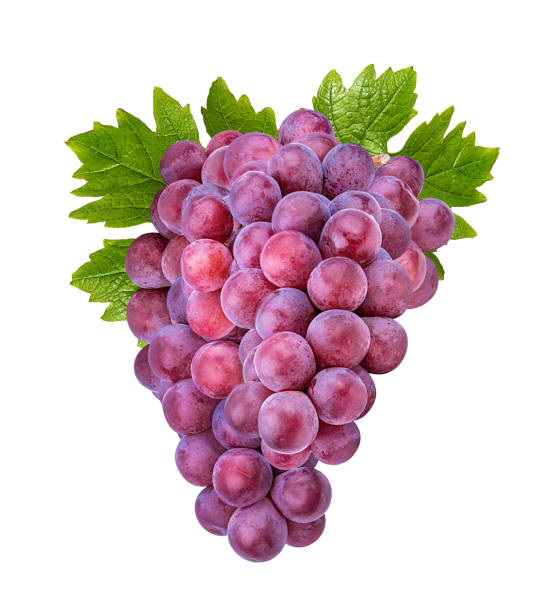 istock Grapes with leaves isolated on white background with clipping pass 1202817501