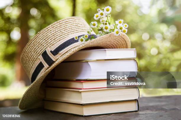 Rural Summer Still Life In The Park Among Trees Stock Photo - Download Image Now - Book, Reading, Summer