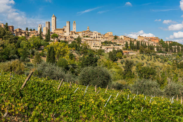 istock The skyline of San Gimignano 1202818888
