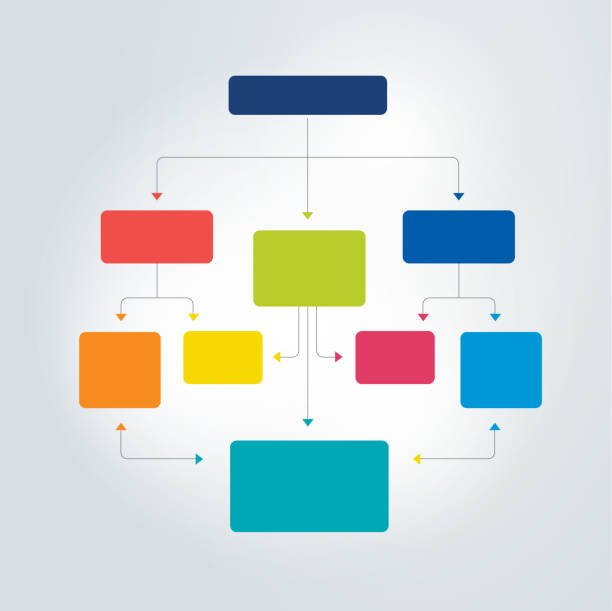 ilustrações de stock, clip art, desenhos animados e ícones de infographics flowchart. colored shadows scheme. - organization chart illustrations