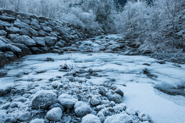 A narrow, partially frozen stream meanders through a snow-covered landscape, creating a striking dark line between white banks. The image captures the contrast between the icy water and the untouched snow, evoking a sense of solitude and cold serenity. Bare twigs and subtle footprints hint at quiet natural activity in this wintry setting.