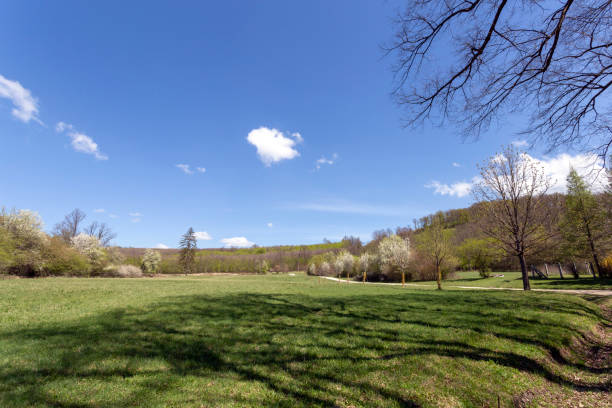 istock Green meadow in the Pilis 1202822524