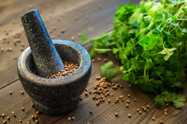 istock cilantro coriander seeds and leaves with granite mortar 1202823223