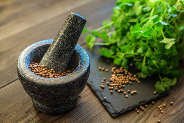 istock cilantro coriander seeds and leaves with granite mortar 1202823254