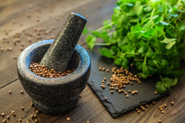 istock cilantro coriander seeds and leaves with granite mortar 1202823256