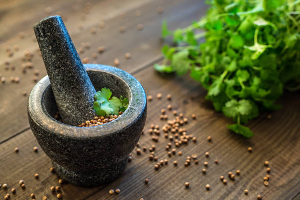 koriandersamen und blätter mit granitmörtel - mortar and pestle herb coriander seed cilantro stock-fotos und bilder